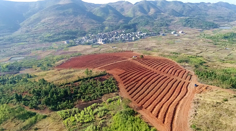 雷坪镇：热火朝天推动“五冬”工程