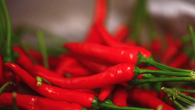 “桂阳五爪辣”纳入“湘江源”蔬菜行业综合品牌 