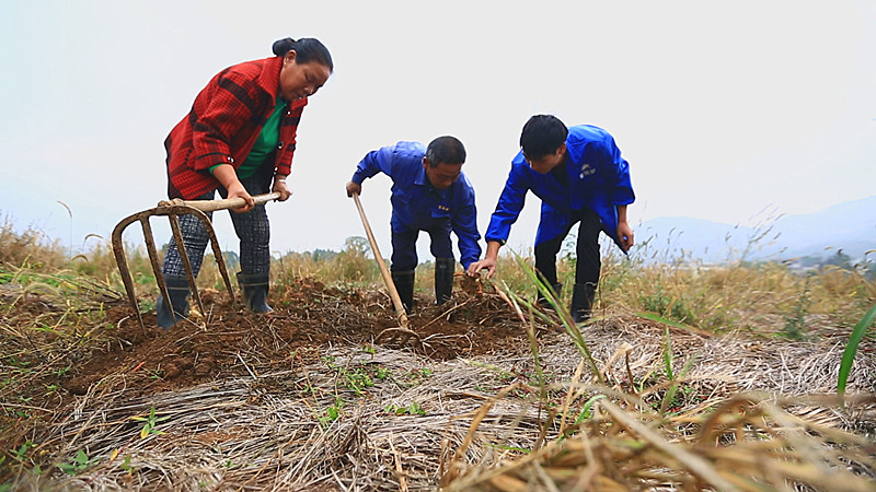 雷坪镇：新型农民用自主研发推动产业转型