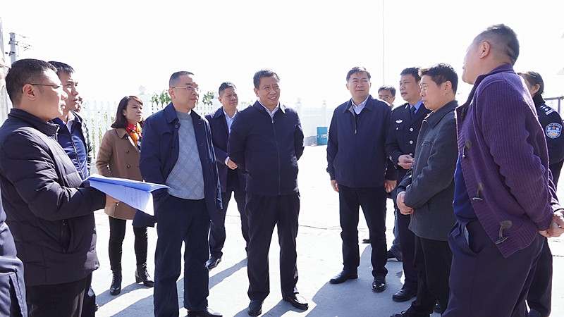 彭生智调研生态环境治理和产业项目建设等工作