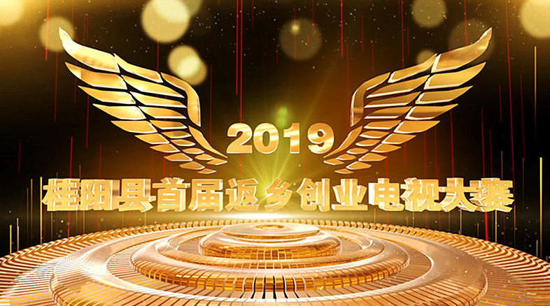 2019年桂阳县首届返乡创业电视大赛火热启动！