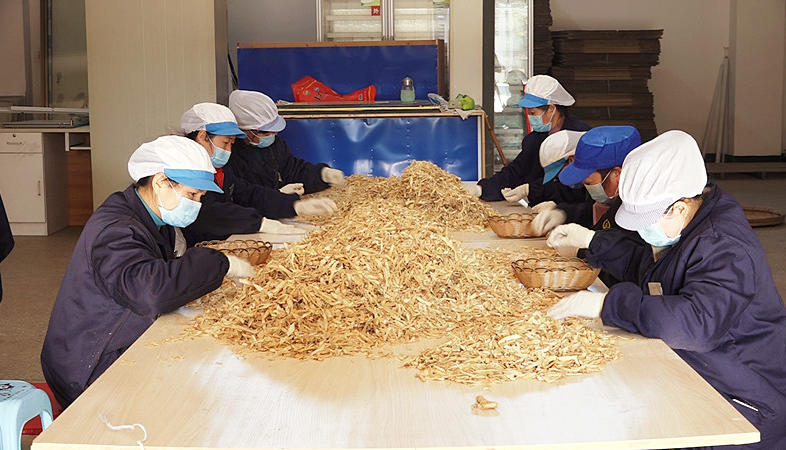 丹桂园药业：以创新稳就业提质增效