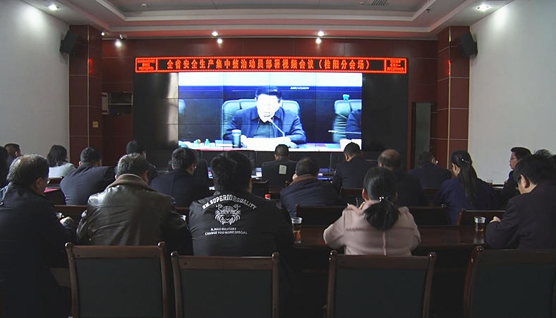 全省安全生产集中整治动员部署视频会议召开