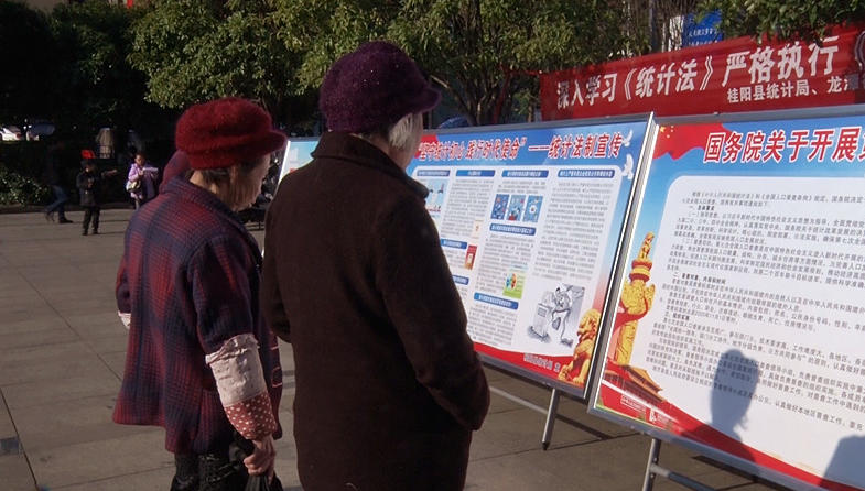 我县开展统计法治宣传活动