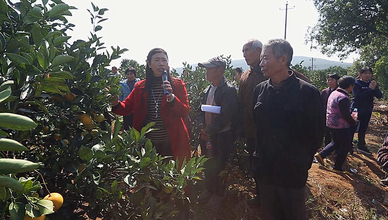 农技课堂走进移民村