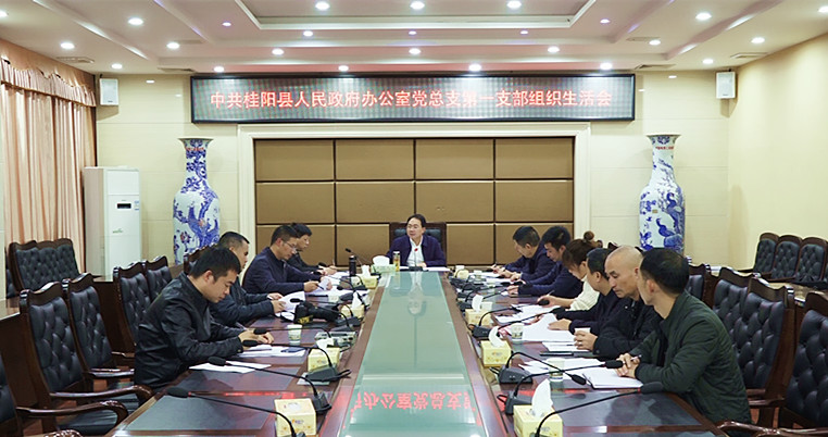朱阳辉参加县政府办党总支第一支部组织生活会