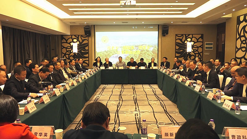 郴州市企业联合会企业家协会桂阳分会举行“迎老乡、回故乡、建家乡”企业家座谈会