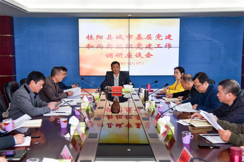 彭生智调研城市基层党建和两新组织党建工作：坚决贯彻新时代党的建设总要求 抓严抓实城市基层党建工作