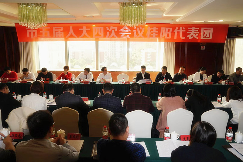 市五届人大四次会议：桂阳代表团开展分组讨论