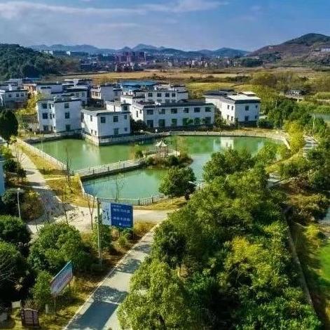 铁尺量出新生态，绿染蓉城满目春——桂阳县主题教育专项整治工作纪实