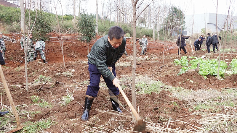 抢抓晴好天气我县千名干部带头拉开2020年春季义务植树序幕