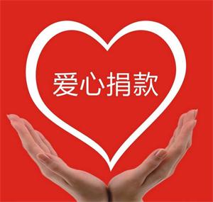 桂阳县慈善总会“众志成城 抗击疫情”慈善募捐情况公示