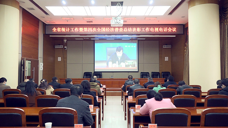 全省统计工作暨第四次全国经济普查总结表彰工作电视电话会议召开
