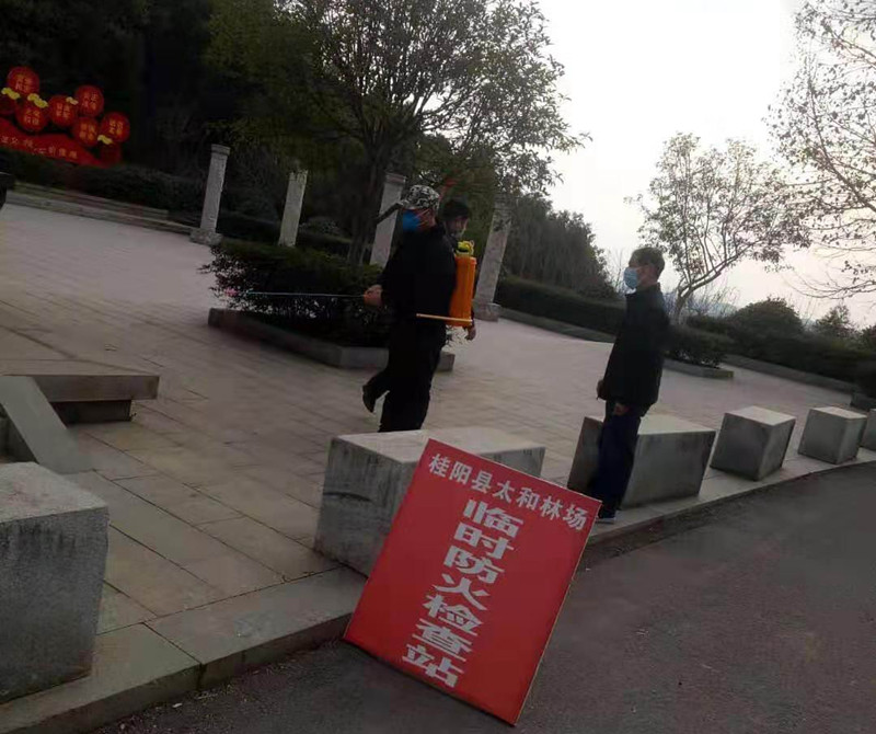 太和林场“防疫”“防火”双管齐下，造林春耕齐头并进