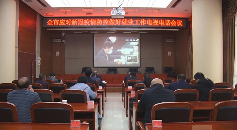 全市应对新冠疫情防控做好就业工作电视电话会议召开