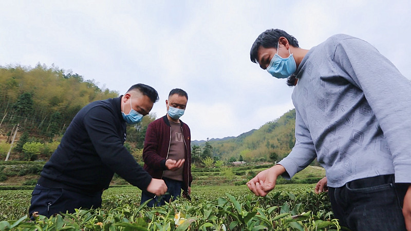桥市乡：引导返乡人员就近就业 助力脱贫攻坚