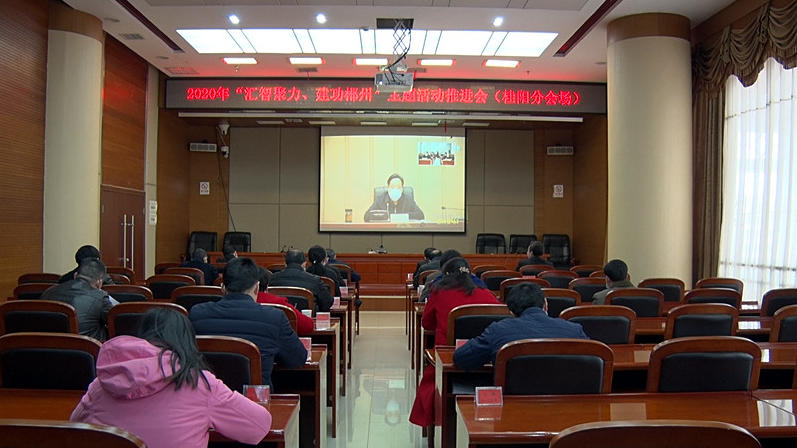  市政协召开2020年“汇聚智力、建功郴州”主题活动电视电话推进会