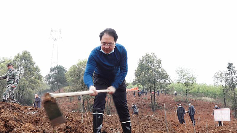 朱阳辉等县领导参加2020年春季集中植树活动