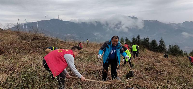 白水瑶族乡：为青山增绿为党旗添彩