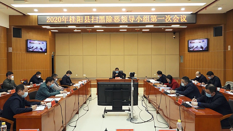 彭生智：强化担当  精准出击  纵深推进扫黑除恶专项斗争