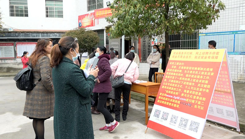 疫情期间稳就业“春风行动”暖人心