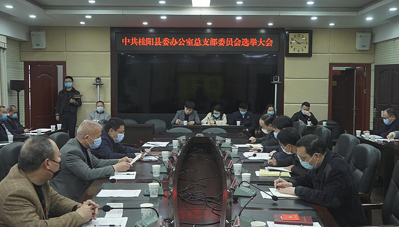 县委办党总支部委员会换届