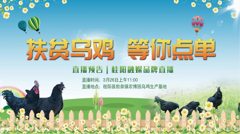 直播预告｜桂阳融媒品牌直播，扶贫乌鸡，等你点单！