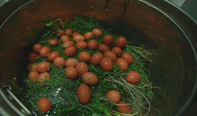 【新时代文明实践在桂阳】 农历三月三：志愿者送暖心荠菜蛋