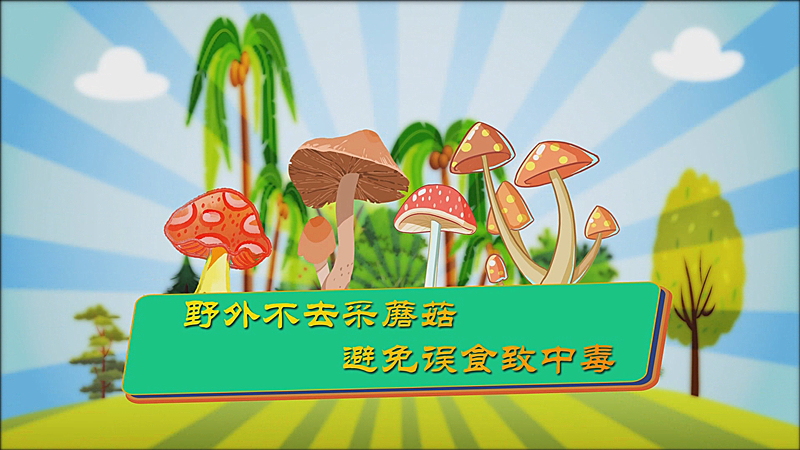 【公益宣传片】请不要采食野生蘑菇，谨防中毒！