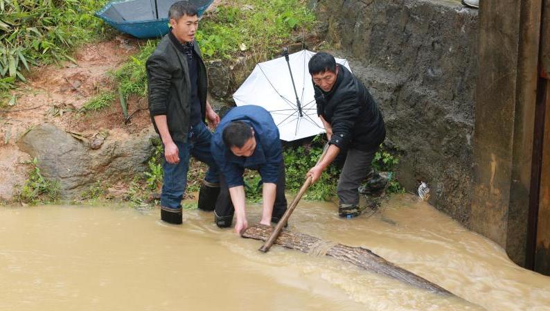 清河道   护烟苗