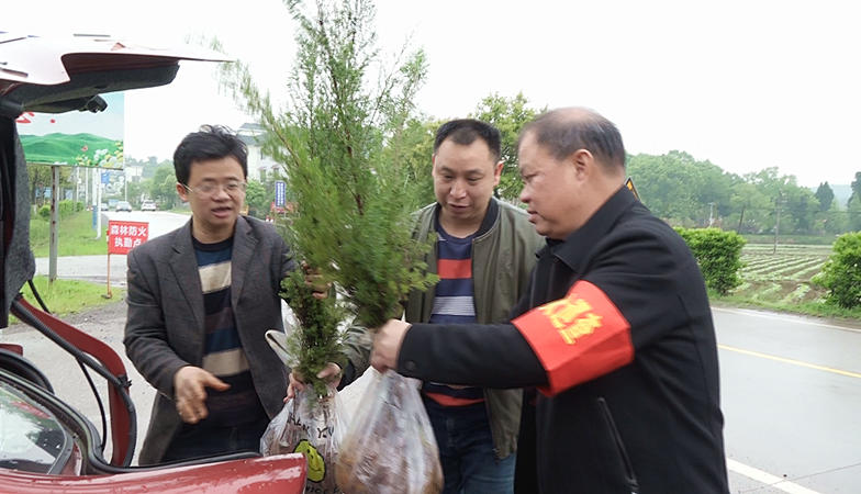 【文明祭扫在行动】鲜花树苗换纸钱   绿色祭扫保平安
