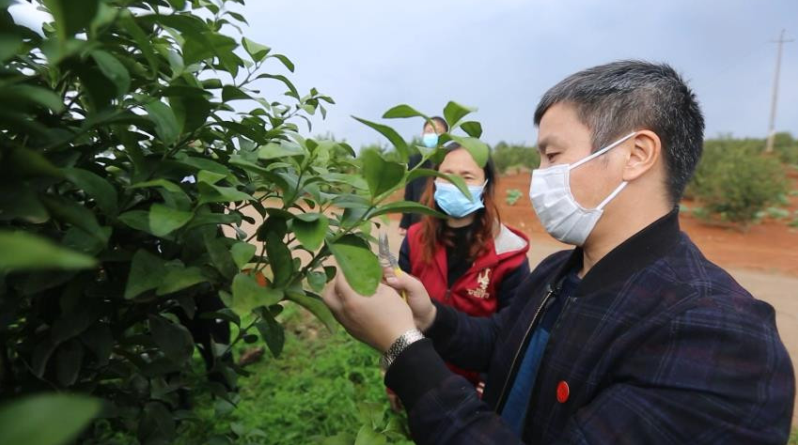 复工复产不负春光——新时代文明实践科技特派员志愿服务队下沉一线