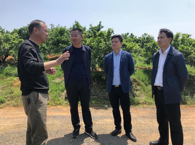 黄力调研指导我县美丽乡村建设及农业产业发展工作等工作