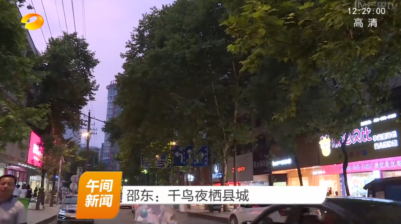 邵东：千鸟夜栖县城