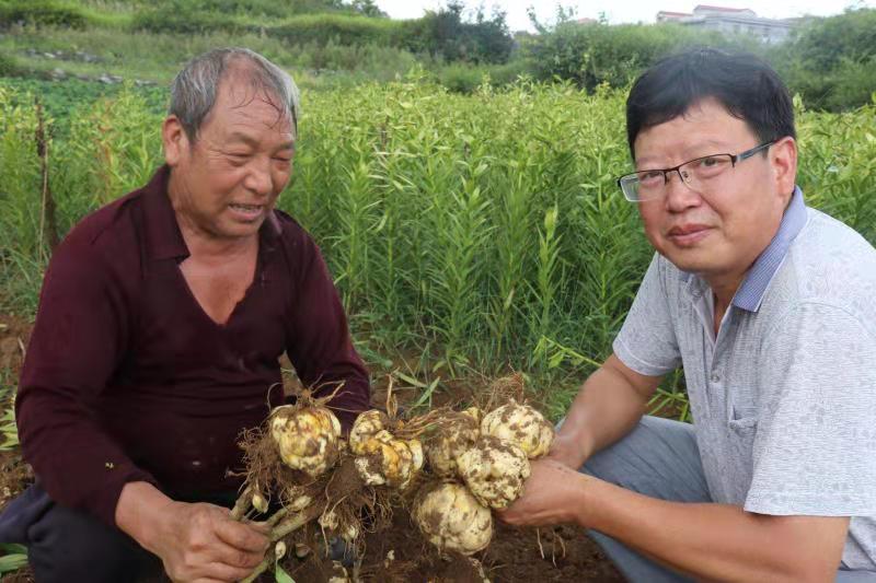 别样风景别样情 4月我们一起去这里看芍药花