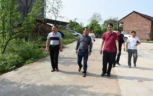 我市农村人居环境整治成效明显