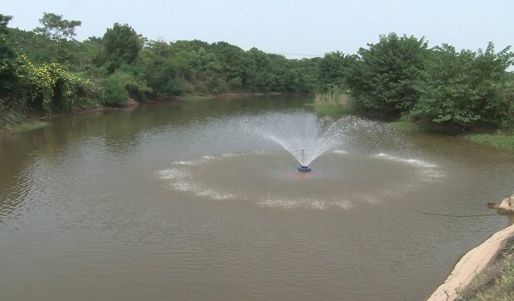 永济镇：抱团养鱼助脱贫