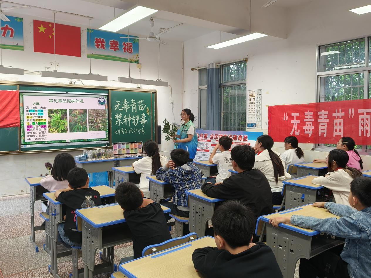 雨湖区：禁种铲毒护校园 识毒防毒守童心