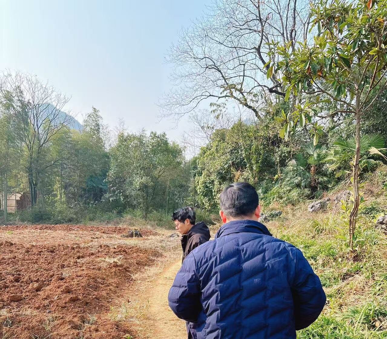 祠堂圩镇：积极行动，力保耕地图斑及永久基本农田