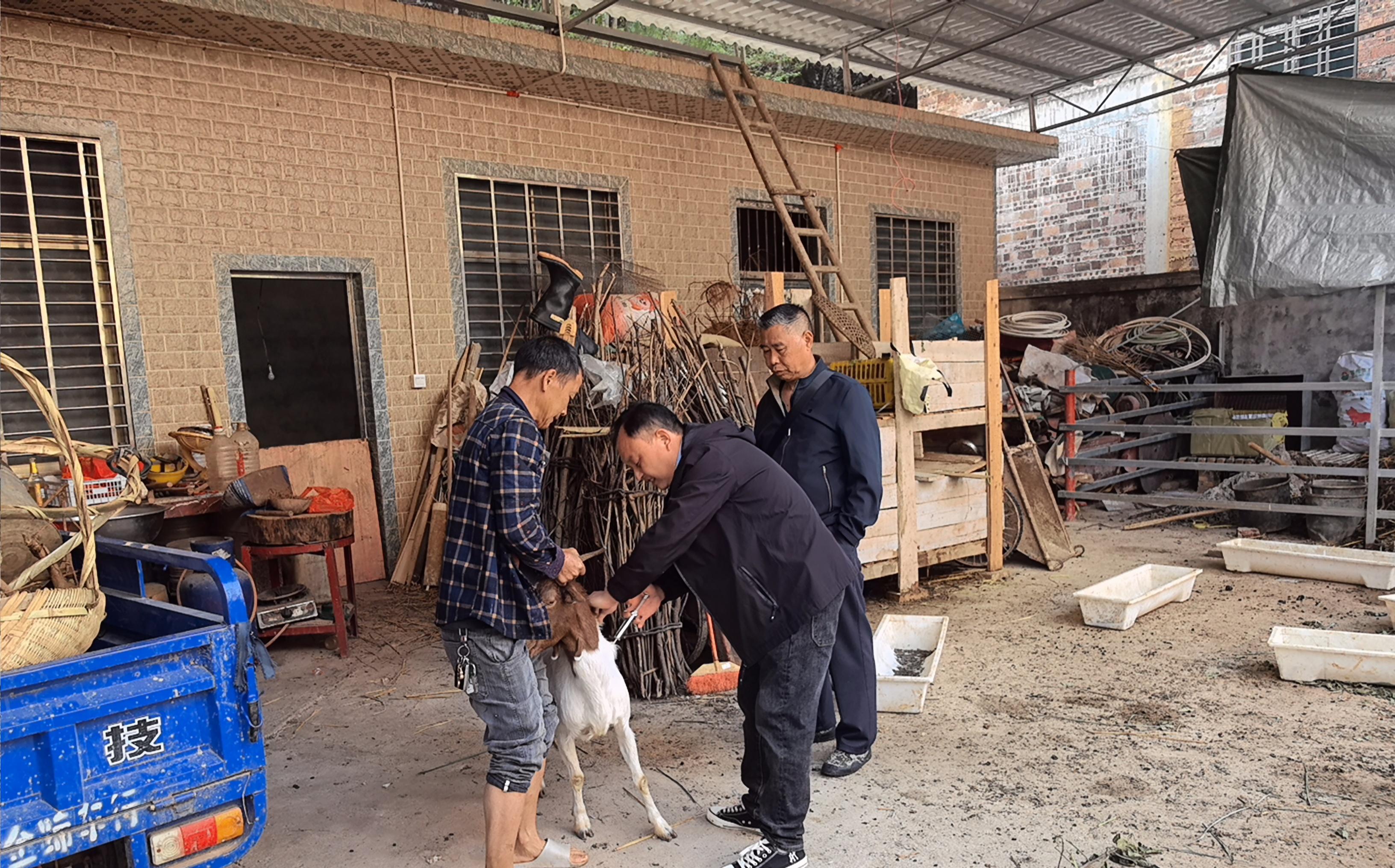 祠堂圩镇：筑牢春季动物防疫屏障