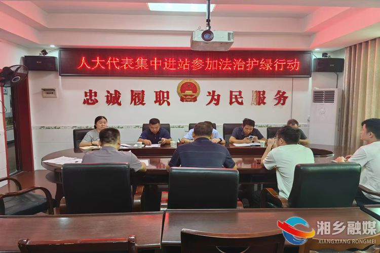 [栗山镇]人大代表集中进站开展法治护绿行动