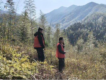 浆洞瑶族乡：多举措开展森林防灭火与候鸟保护宣传