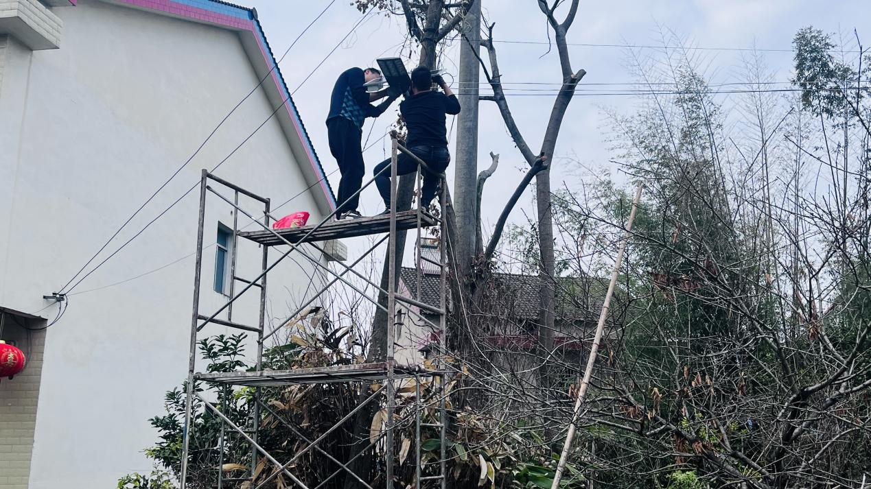 斗姆湖街道：盏盏路灯有温度，点亮群众出行路