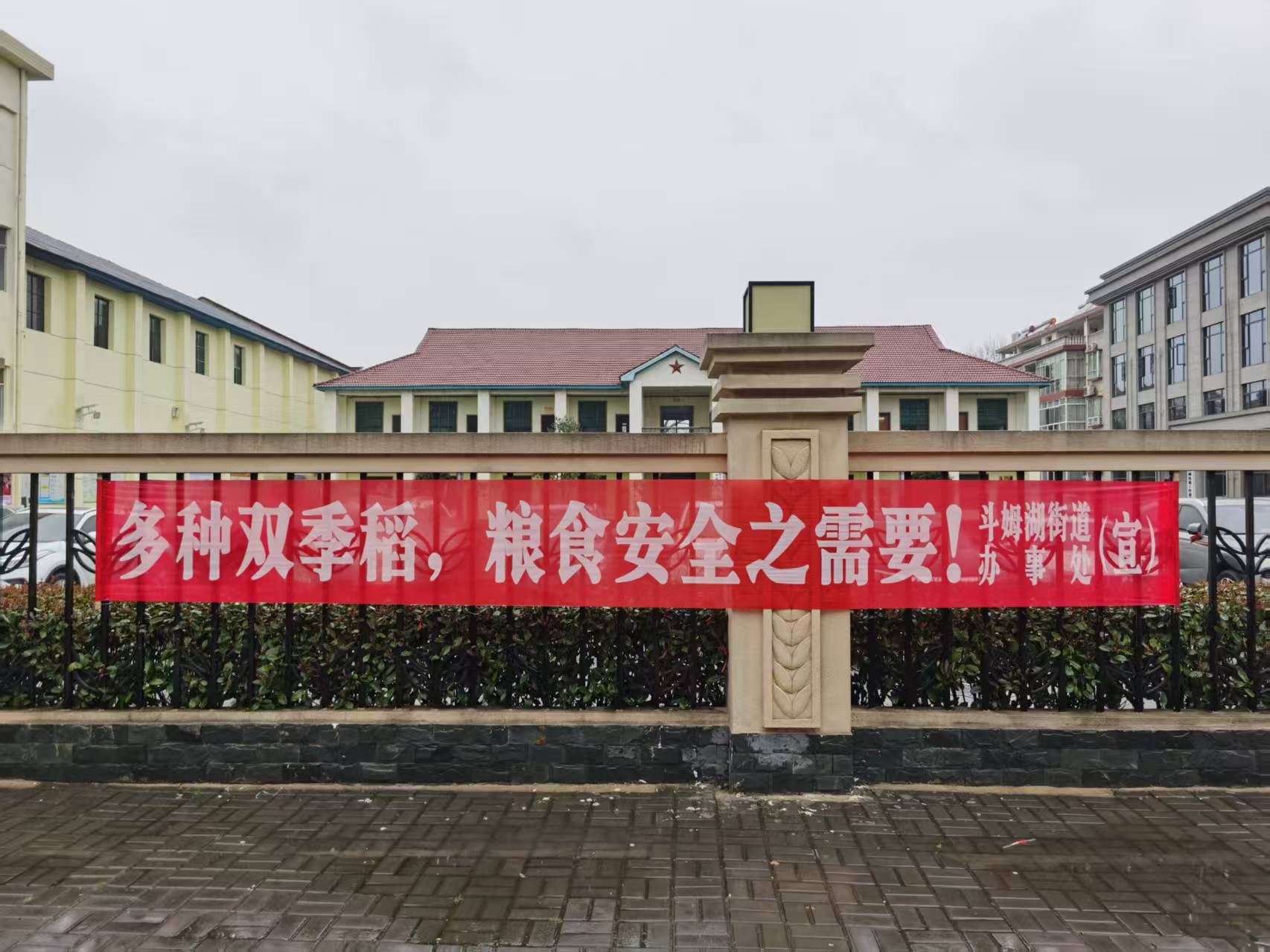 斗姆湖街道：不误农时不负春，春耕备耕正当时