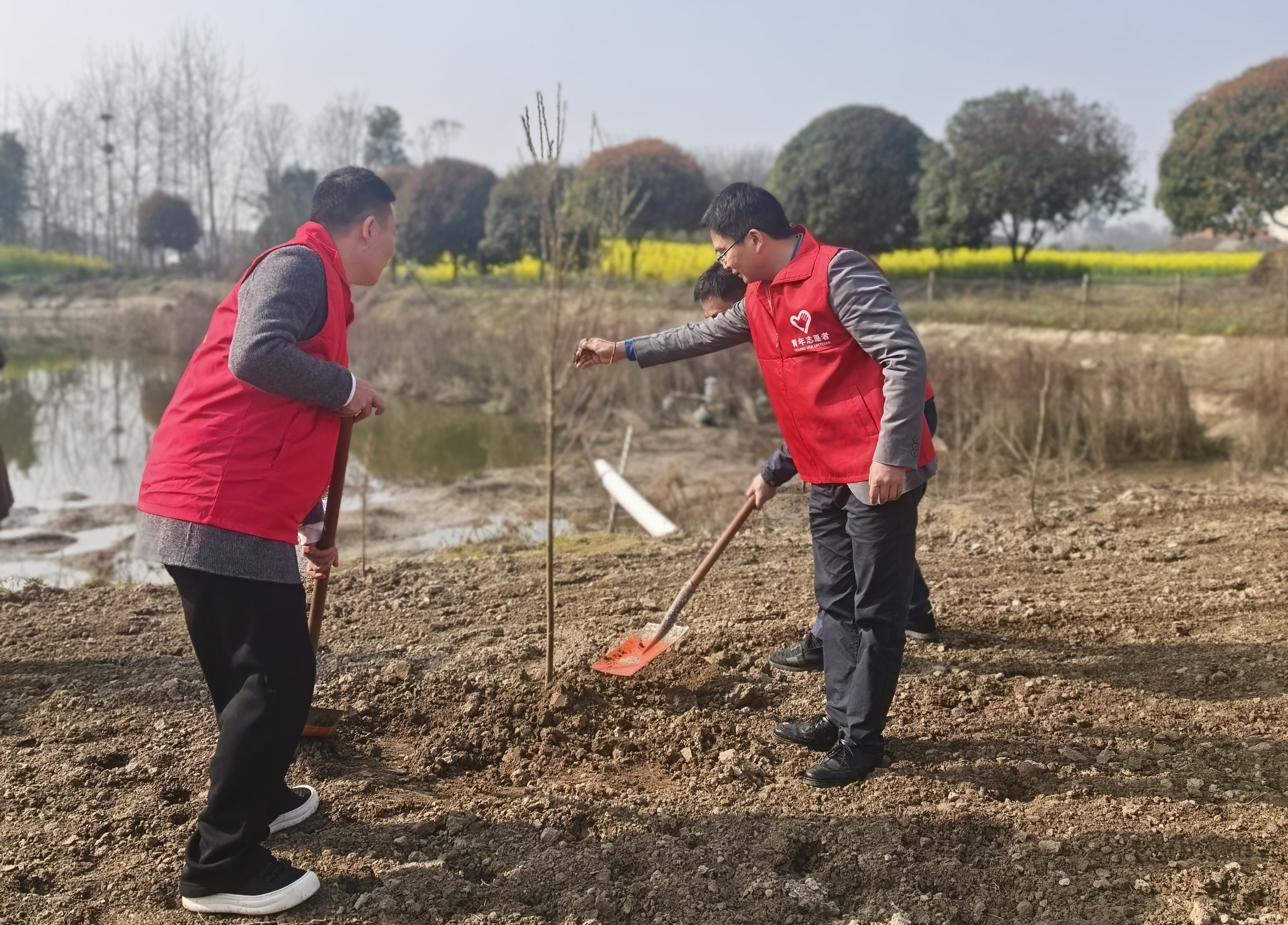 丹阳街道开展义务植树活动