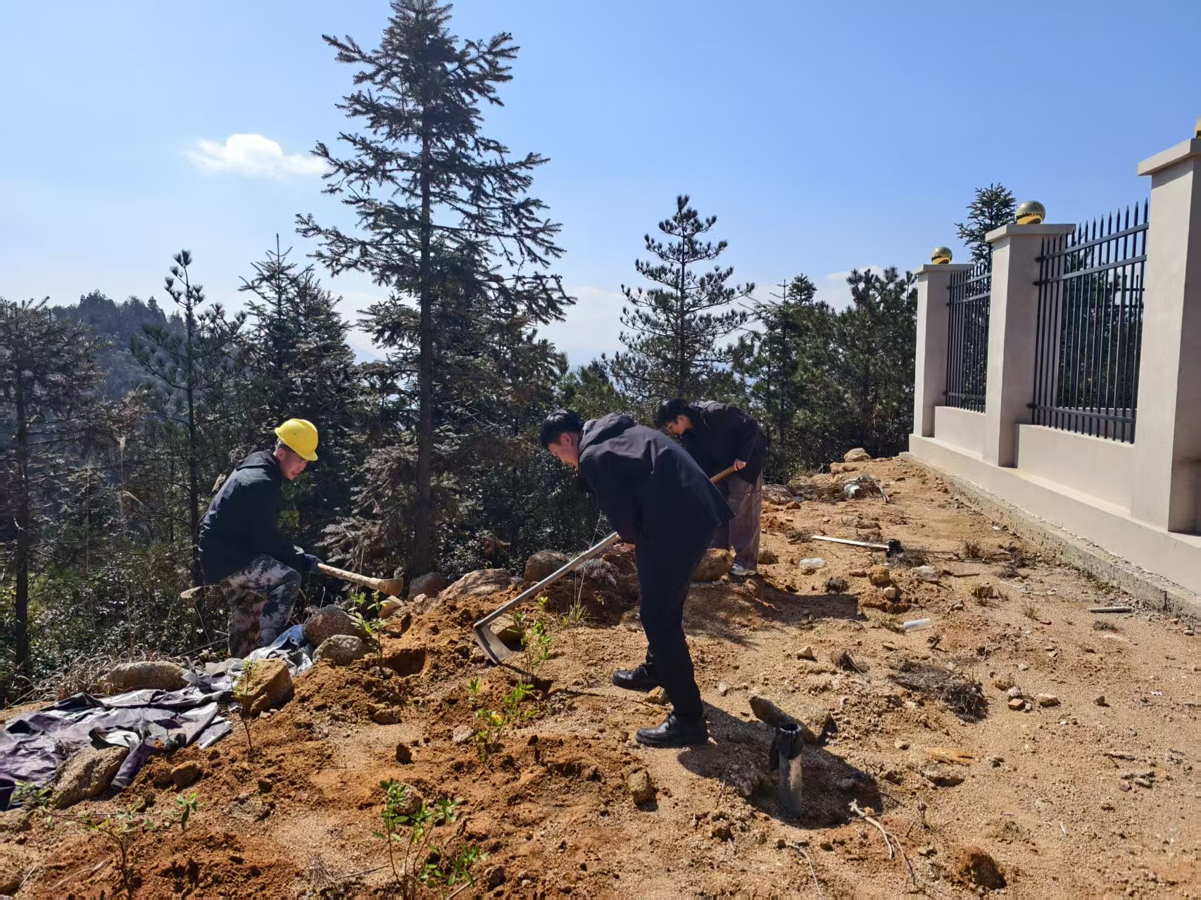 桂东县气象局：挥锹添绿正当时 气象助力“四城”建设