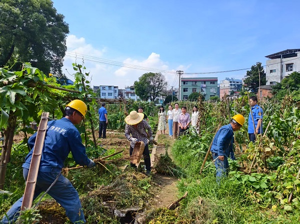 建設(shè)路街道政協(xié)小組持續(xù)開展禁止焚燒菜地秸稈專項民主監(jiān)督活動
