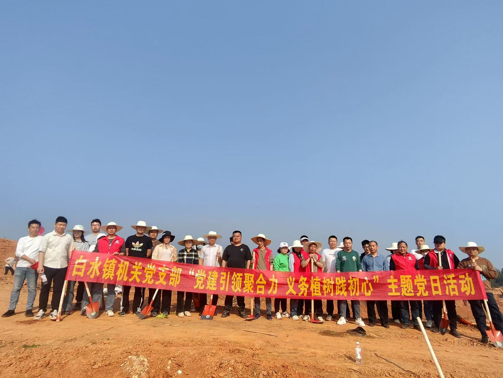 白水镇开展义务植树主题党日活动
