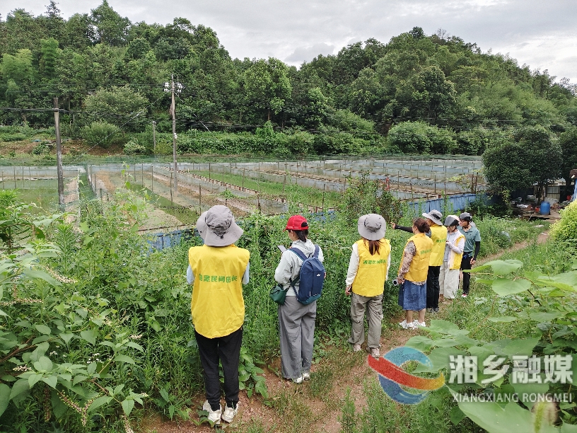 [湘潭民间田长湘乡中队]骑行巡查进田间 守护耕地“生命线”