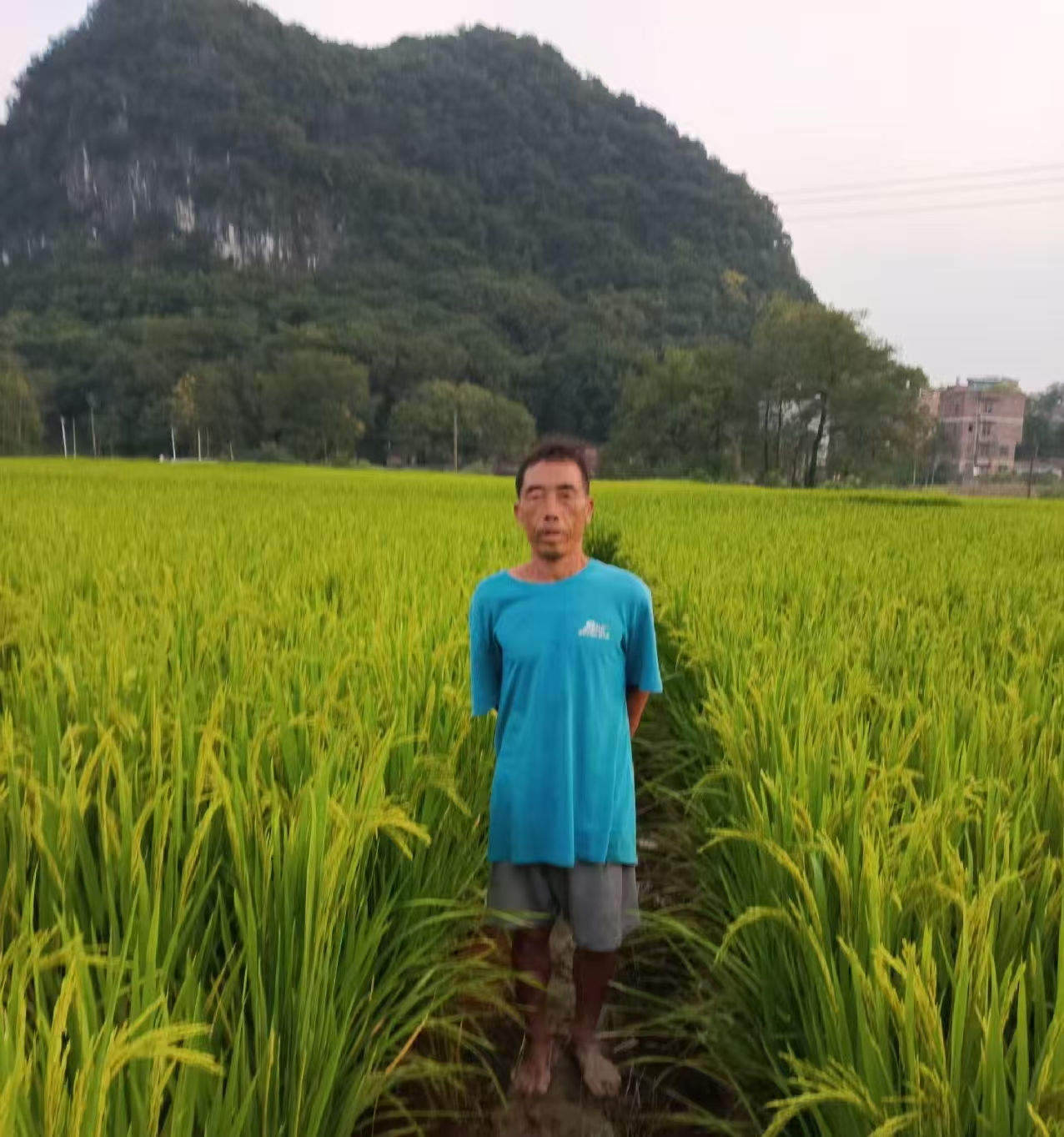 祠堂圩镇蓝屏村：落实到户产业奖补政策，激活乡村振兴“一池春水”